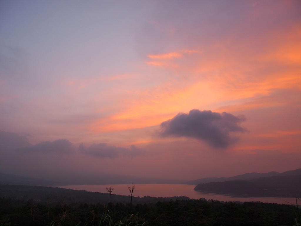 8/13 �[�Ă��̎R����