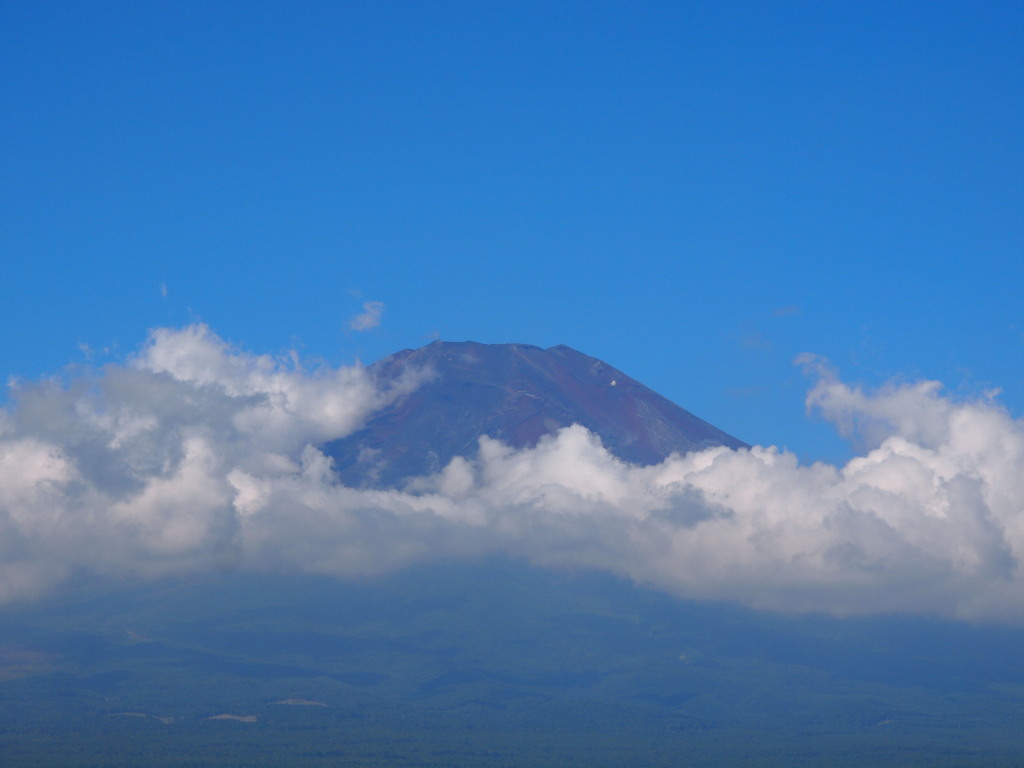 8/15 ���r����̉Ă̕x�m�R