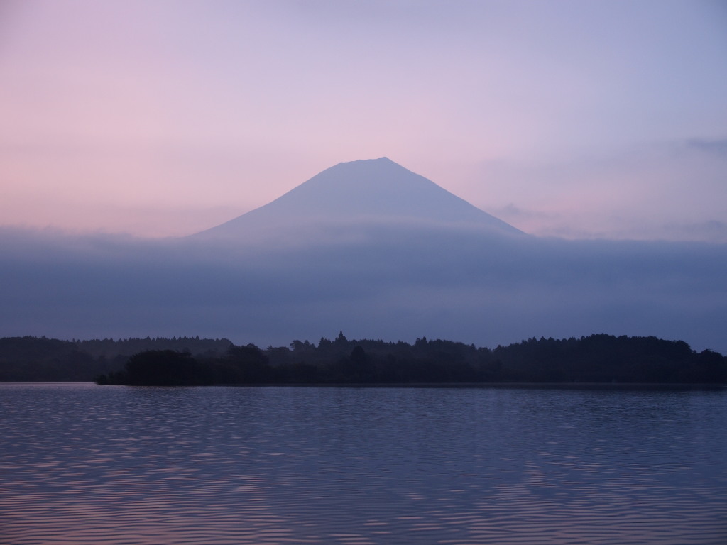 8/16 �c�ь΂���̒��Ă��̕x�m�R