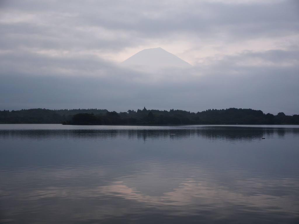 8/16 �c�ь΂���̋t���x�m