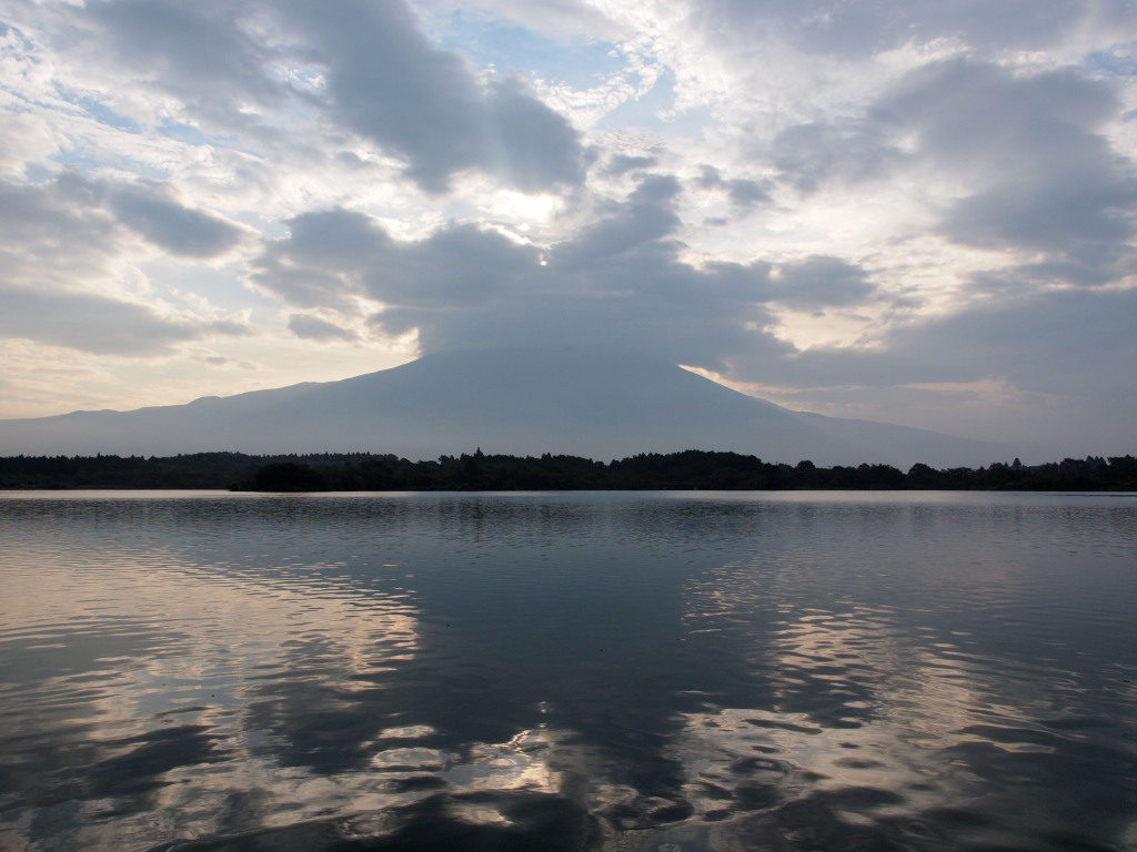 8/19 �_�C�������h�x�m�̎���