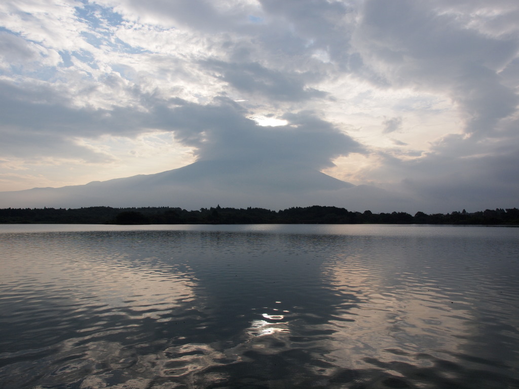 8/19 �x�m�R�͌����邩