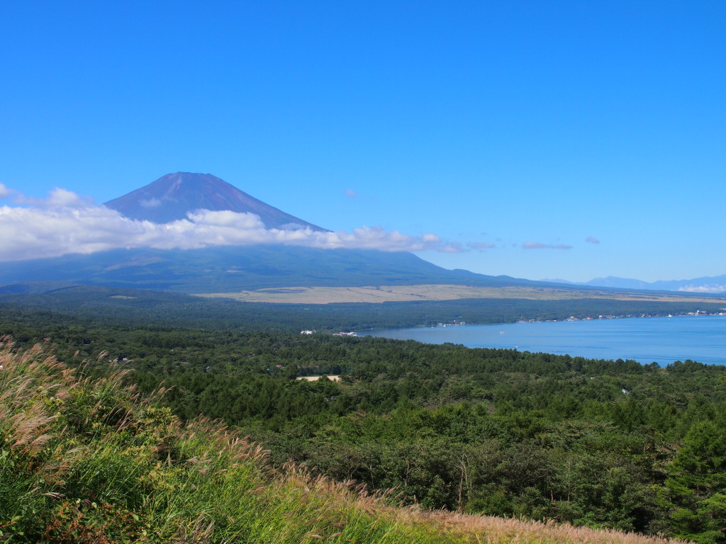 9/7 ���ꂢ�ȕx�m�R