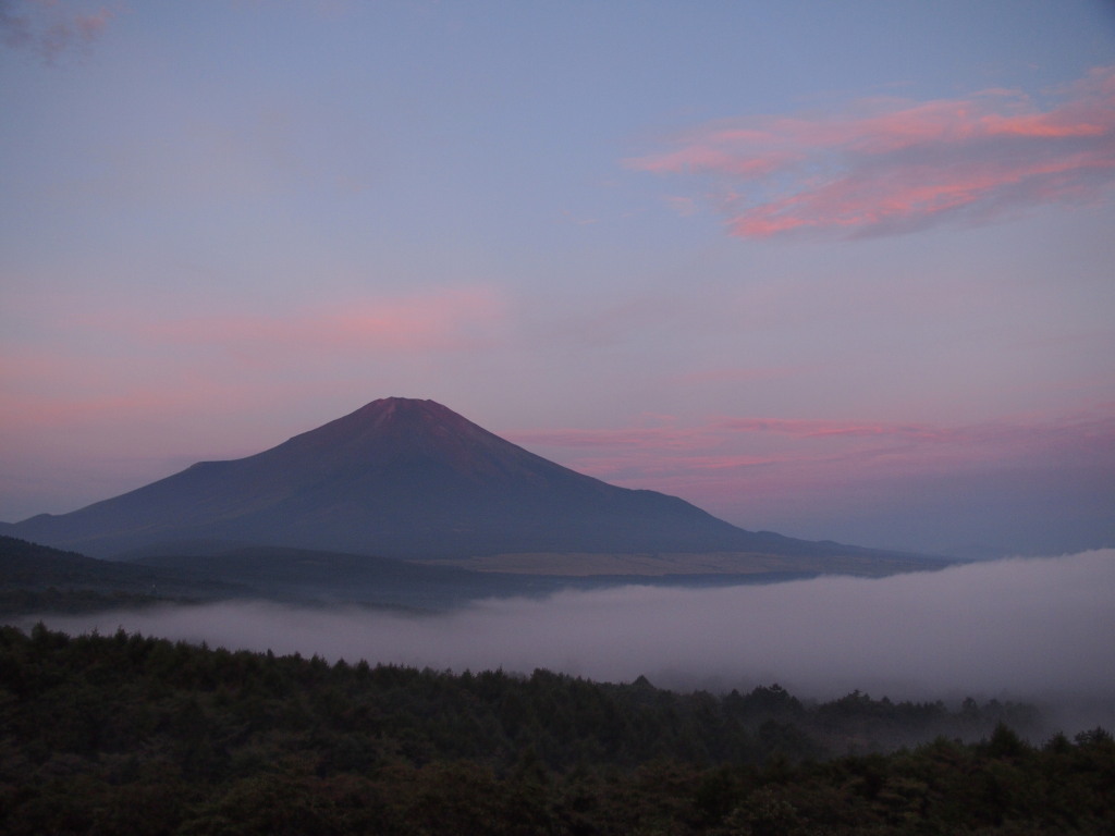 9/8 �_�C�ƕx�m�R