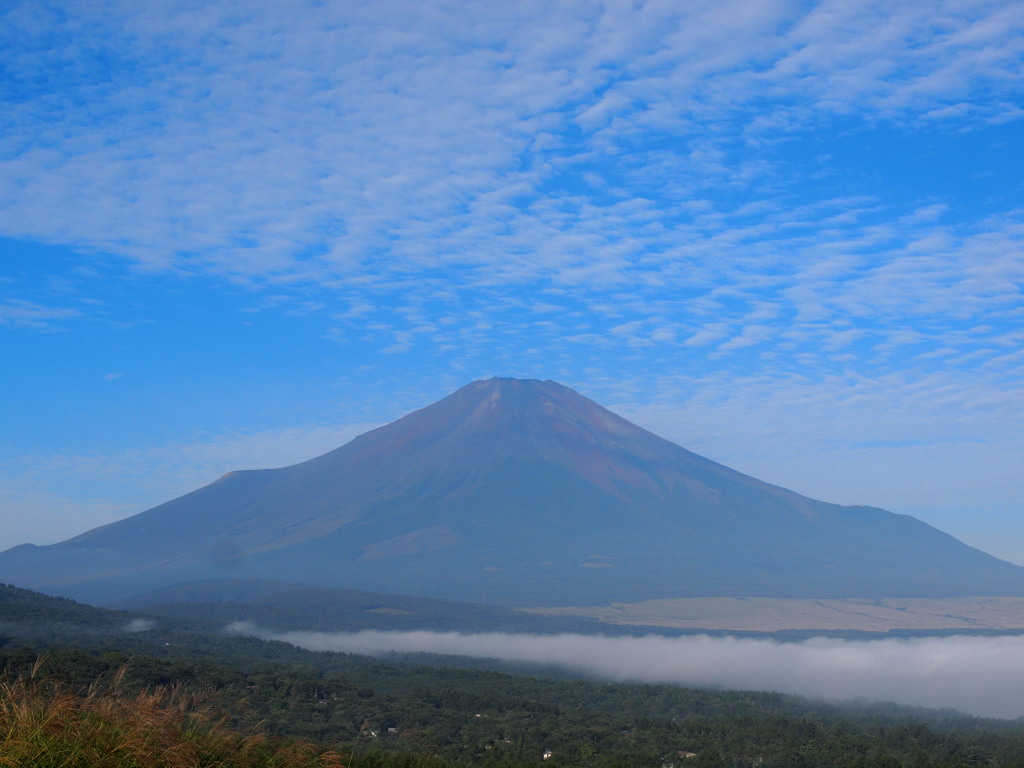 9/8 �_�ƕx�m�R(2)