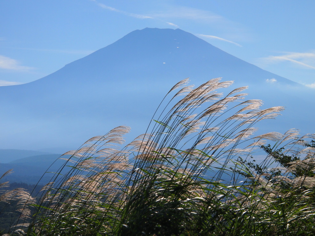 9/8 �X�X�L�ƕx�m�R