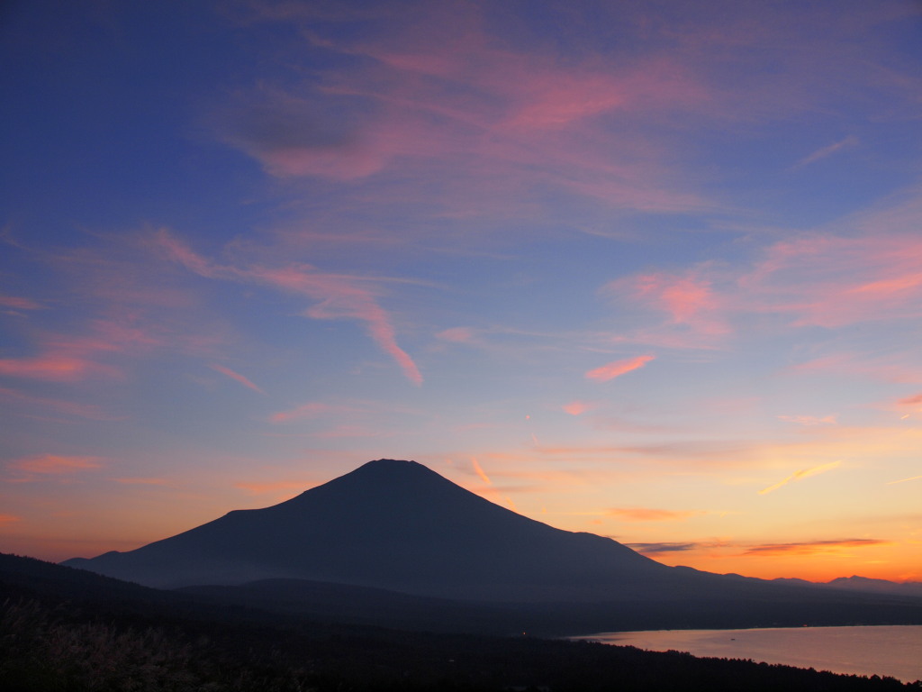 9/8 �[�Ă��ƕx�m�R