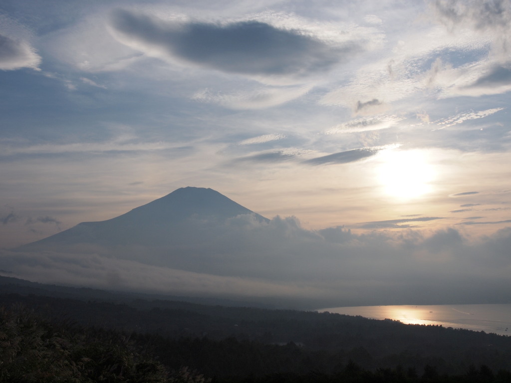 9/9 �_�Ɠ��̓���̕x�m�R