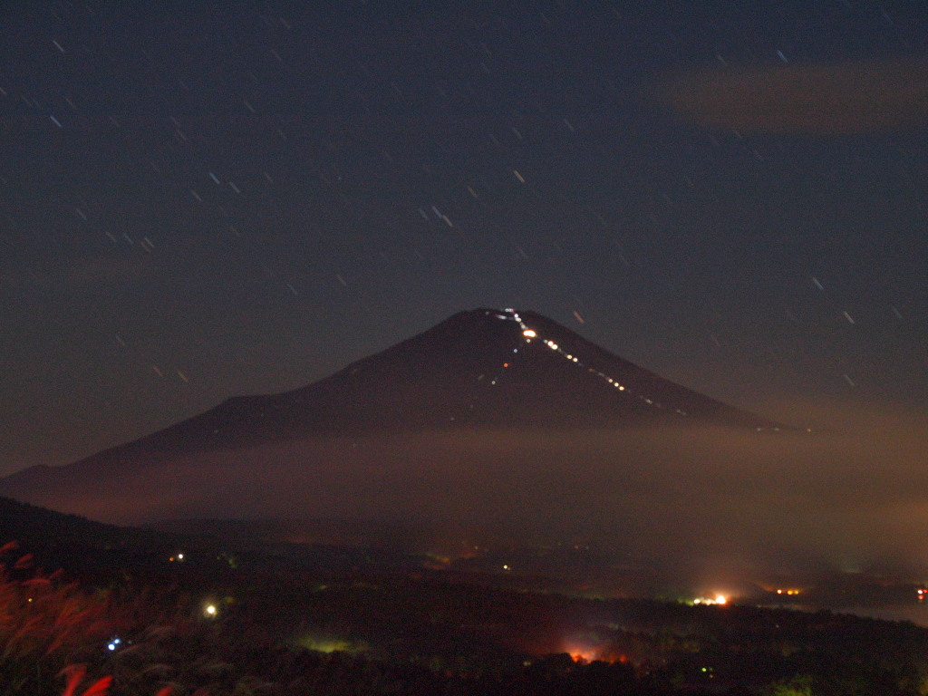 9/10 �x�m�R�̖�i