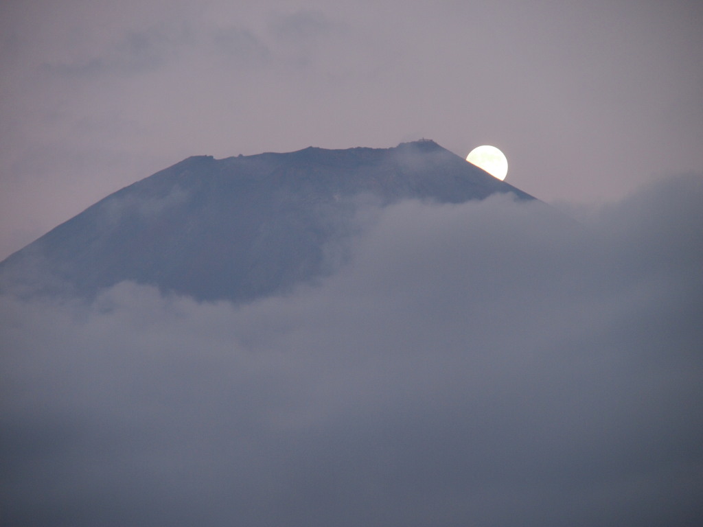 9/11 �\���̌��̏o