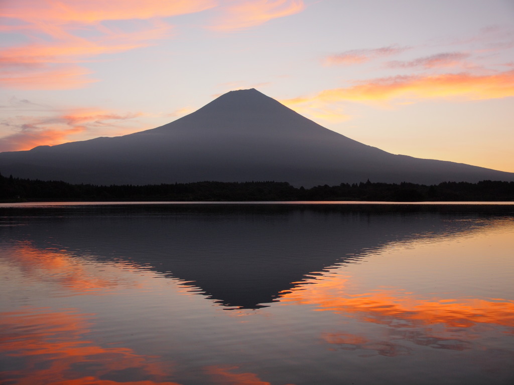 9/13 ���Ă��̕x�m�R