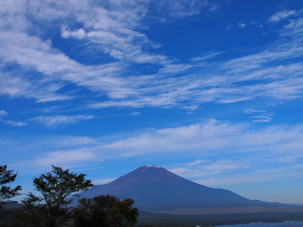 9/28 �_�ƕx�m�R