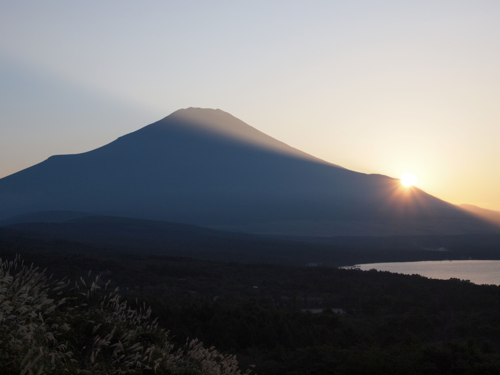 9/28 ���̓���̕x�m�R