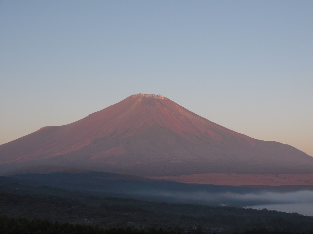 9/29 ����������x�m�R