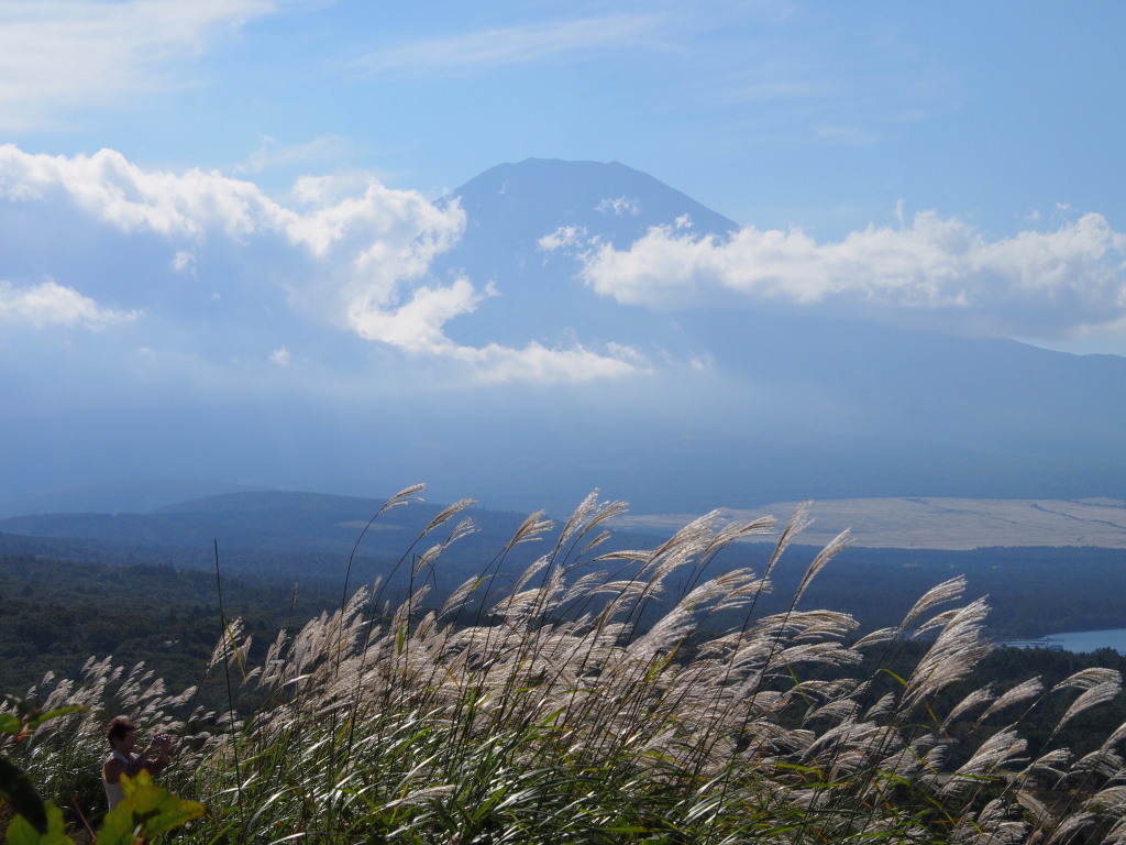 10/4 �_�̒��ɓ���x�m�R