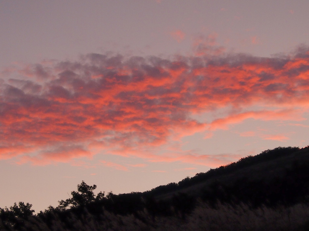 10/7 ���̋�͒��Ă�