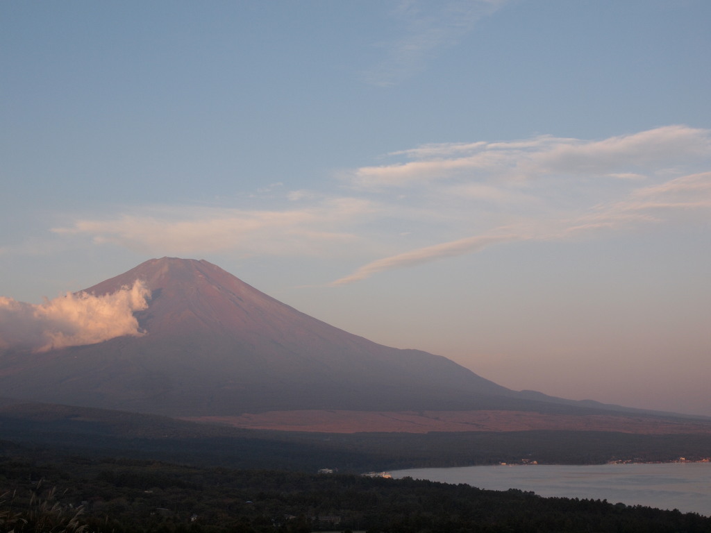 10/7 �Ԃ��Ȃ����x�m�R