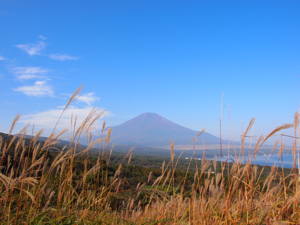 10/7 �X�X�L�ƕx�m�R