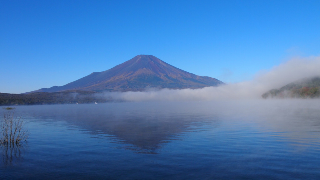 10/27 �_�C����Ă����x�m�R