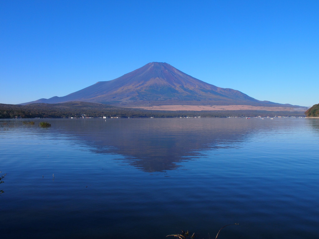 10/27 �R���΂̋t���x�m