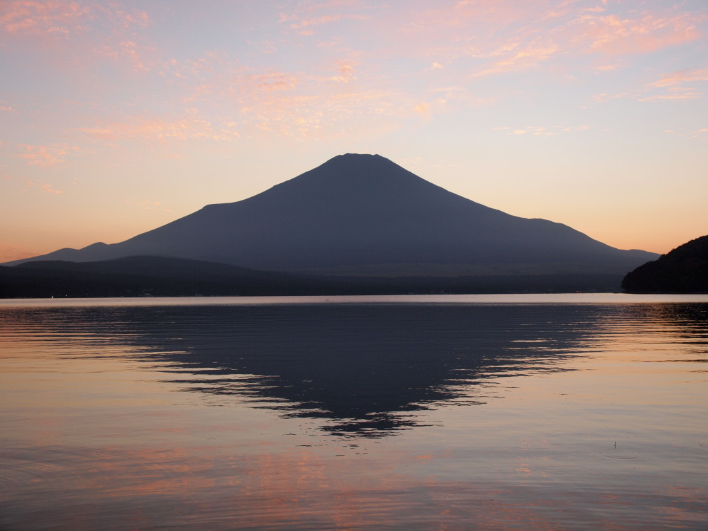 10/28 �[�Ă��ƕx�m�R