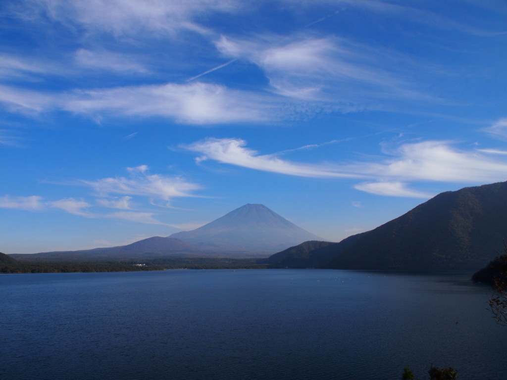 10/29 �_�ƕx�m�R