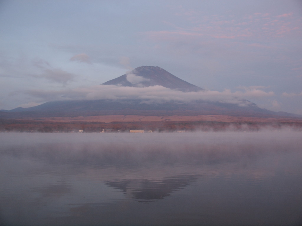 11/9 �K�X���؂�n�߂��x�m�R