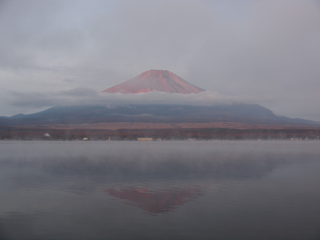 11/9 �_�C�ƒ��Ă��̋t���x�m