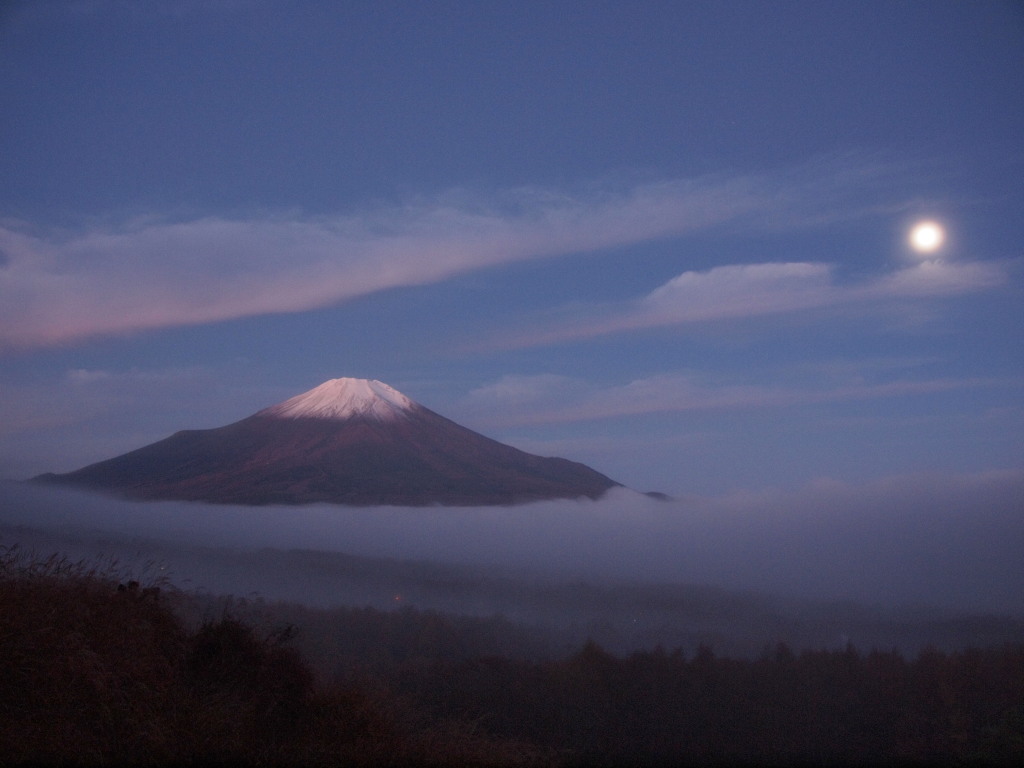 11/12 �����Ɛ�������x�m�R