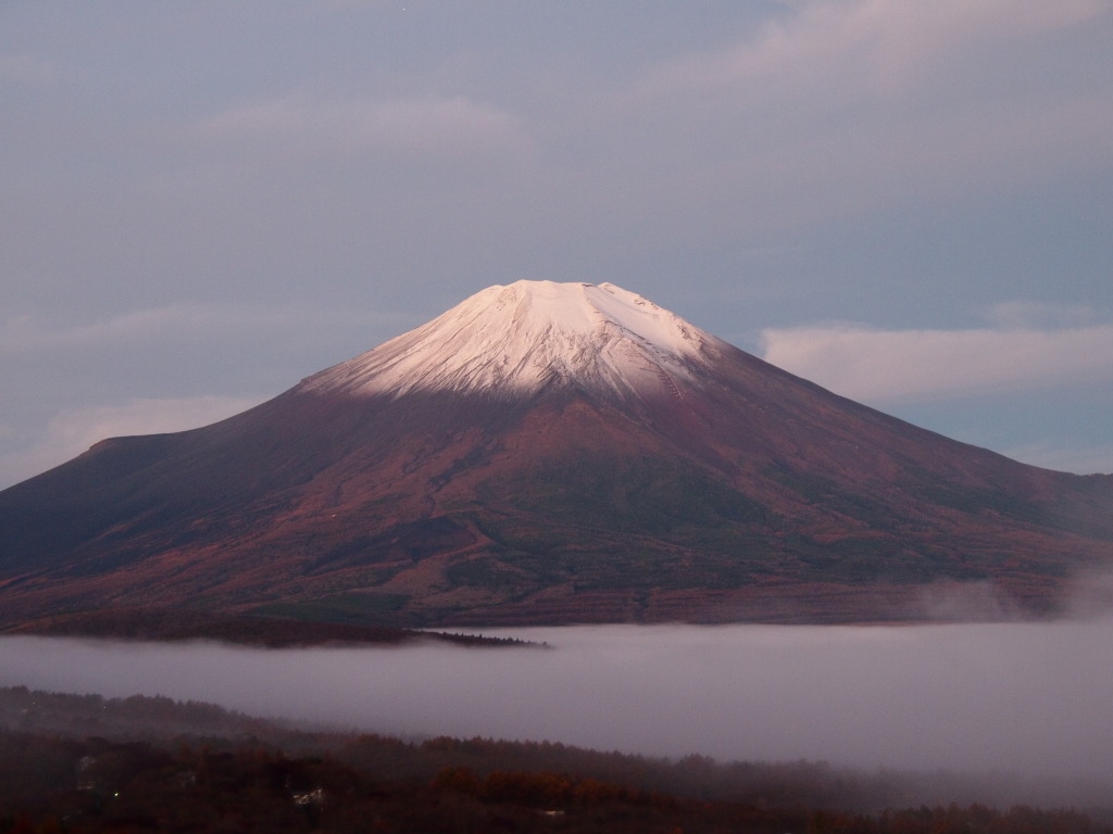 11/12 �_�C�ƕx�m�R