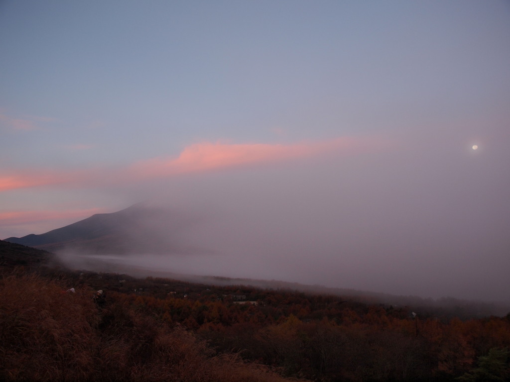 11/12 ���Ă��ƕx�m�R