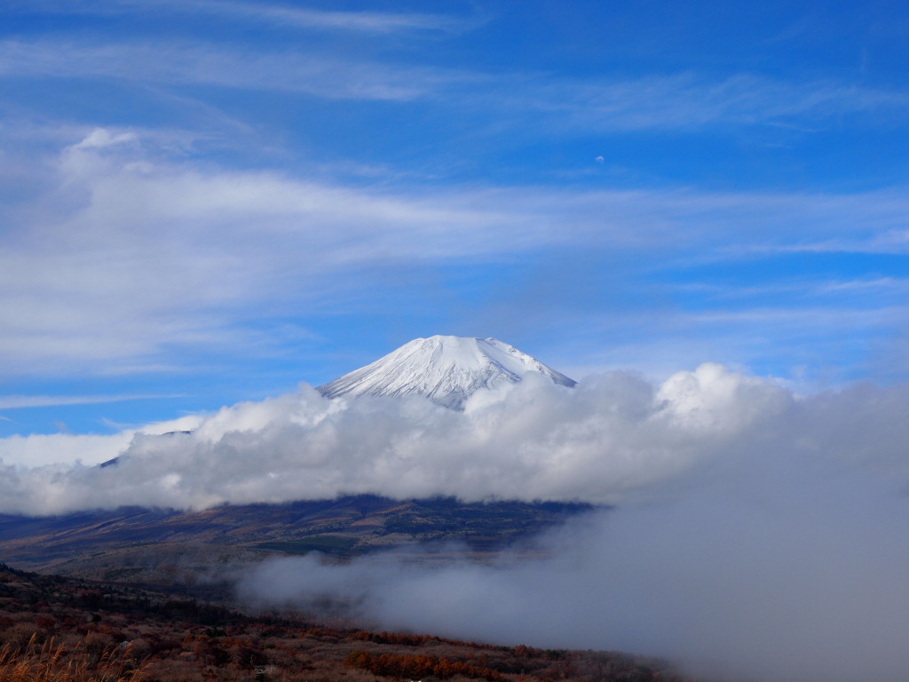 11/12 �_�Ɖ_�C�ƕx�m�R