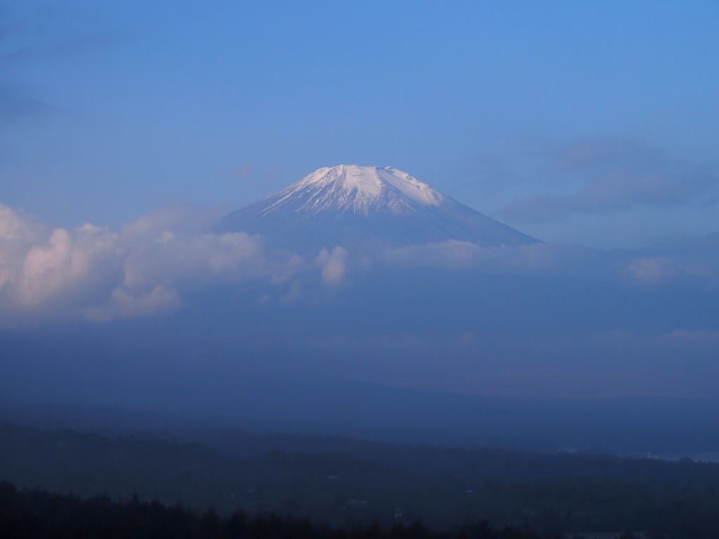 11/14 ��u�̕x�m�R