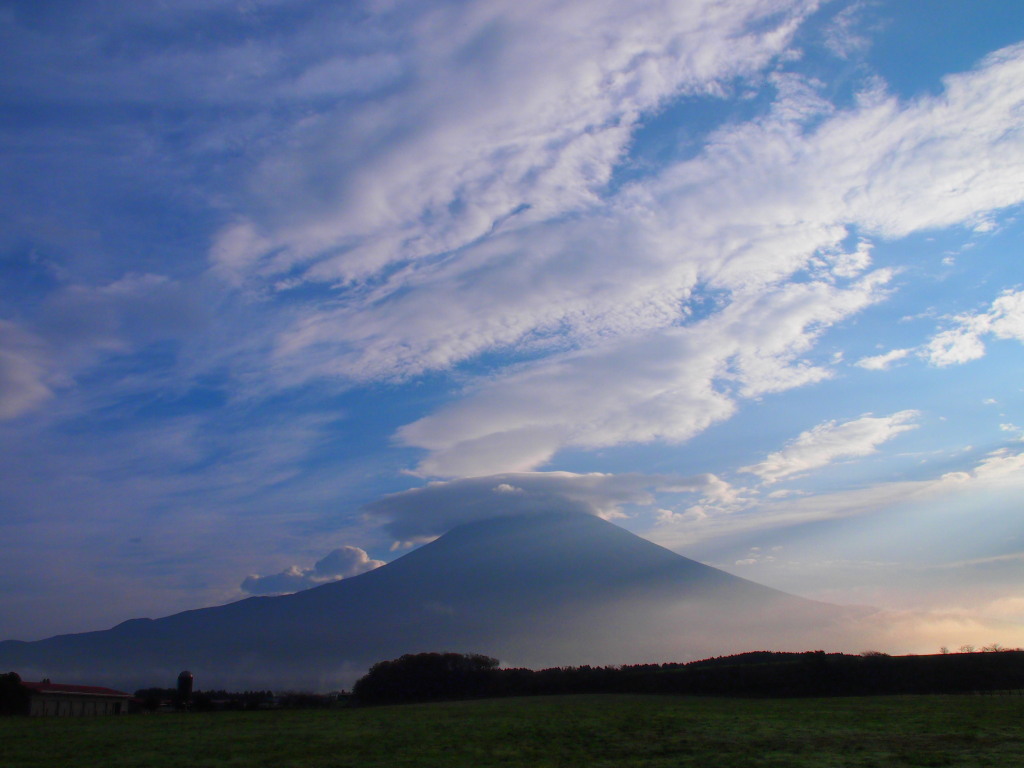 11/20 �_�ƕx�m�R