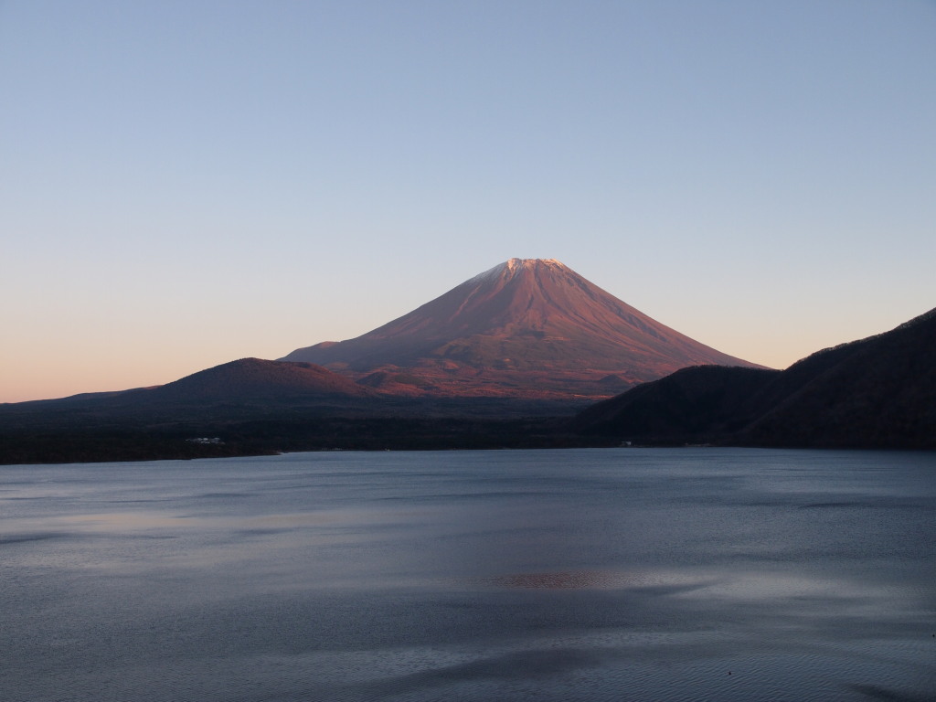 11/20 �J�オ��̕x�m�R