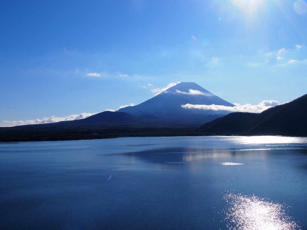 11/21 ���ꂢ�ȕx�m�R