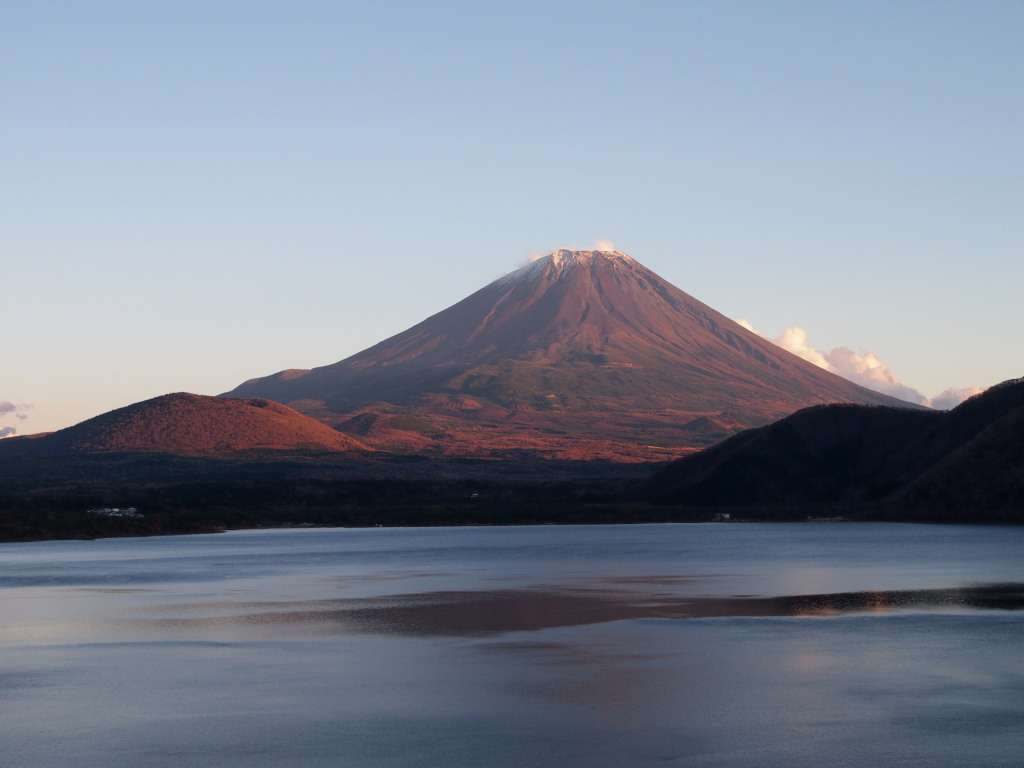 11/21 �[�Ă��̕x�m�R