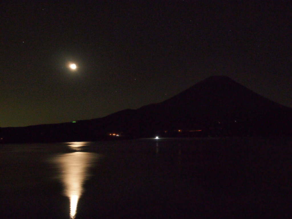 11/22 ���e�Ɩ钆�̕x�m�R