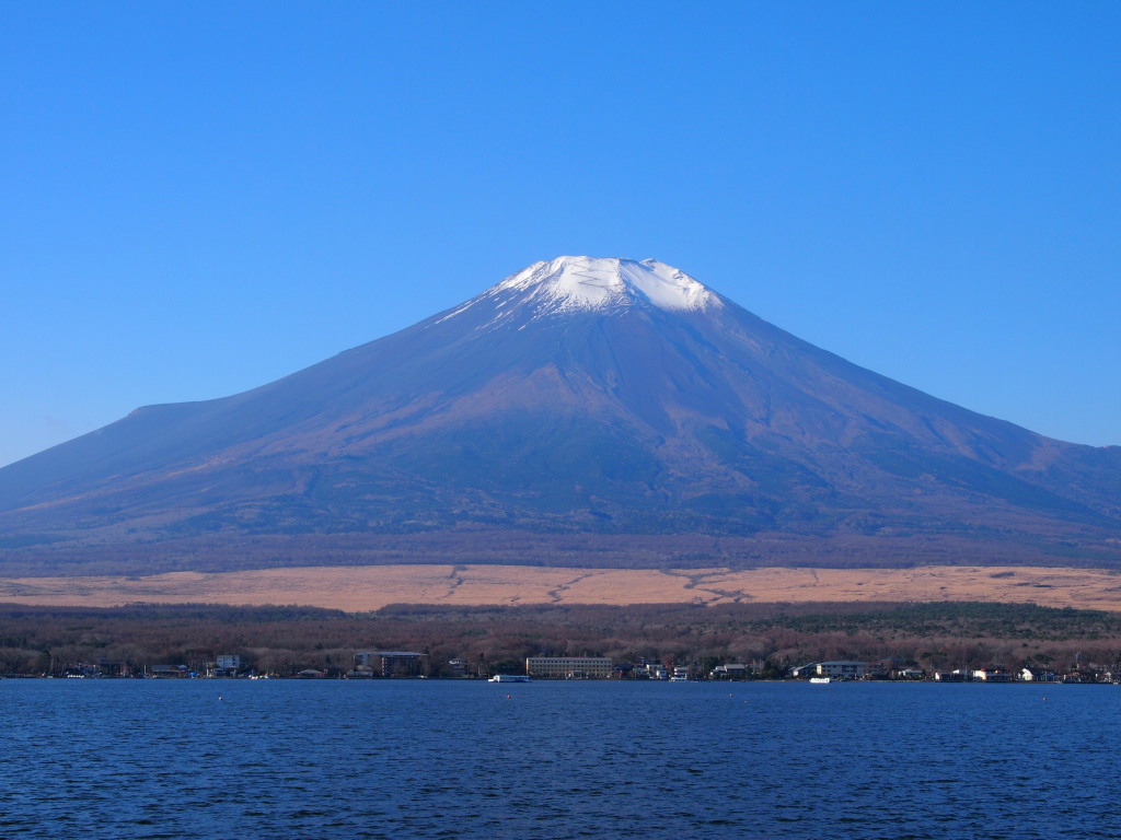 11/23 ���r����̓~�̕x�m�R