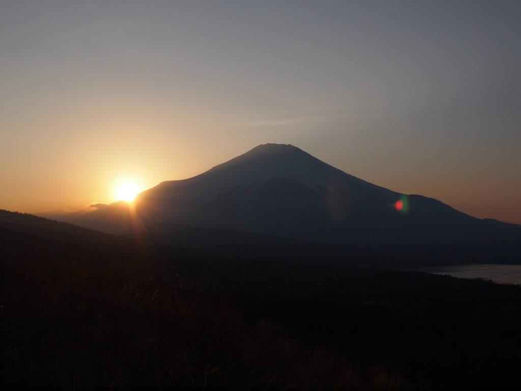 1/8 ���̓���̕x�m�R