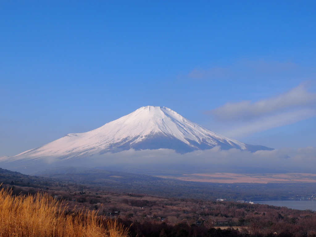 1/9 ��u�̕x�m�R