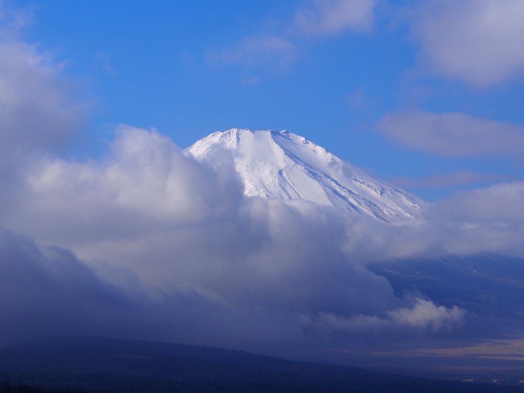 1/10 ��u�̕x�m�R