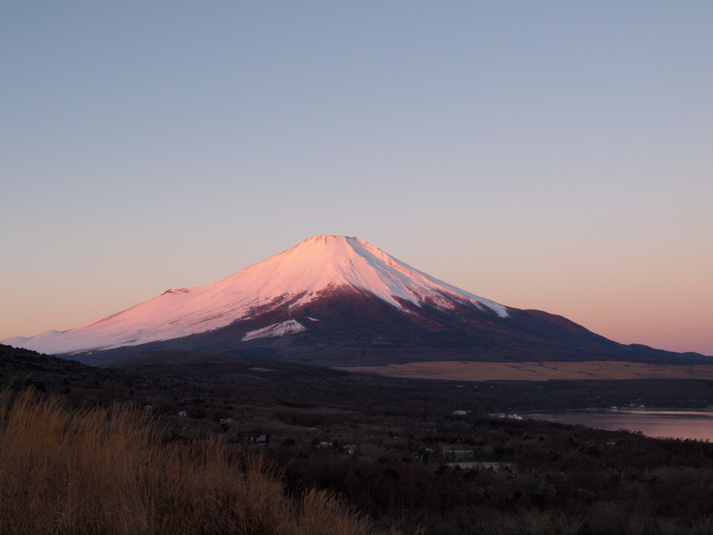 1/11 �ق�̂�g�x�m