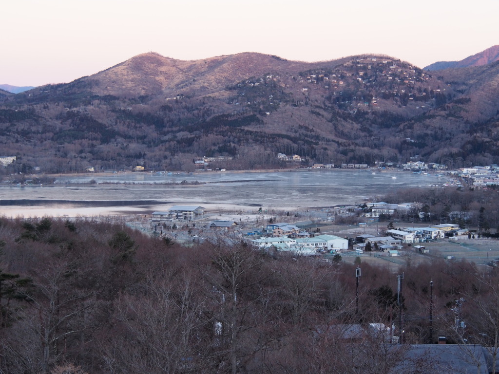 1/11 ����n��̌��X