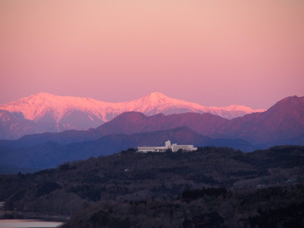 1/11 �A���v�X���܂�