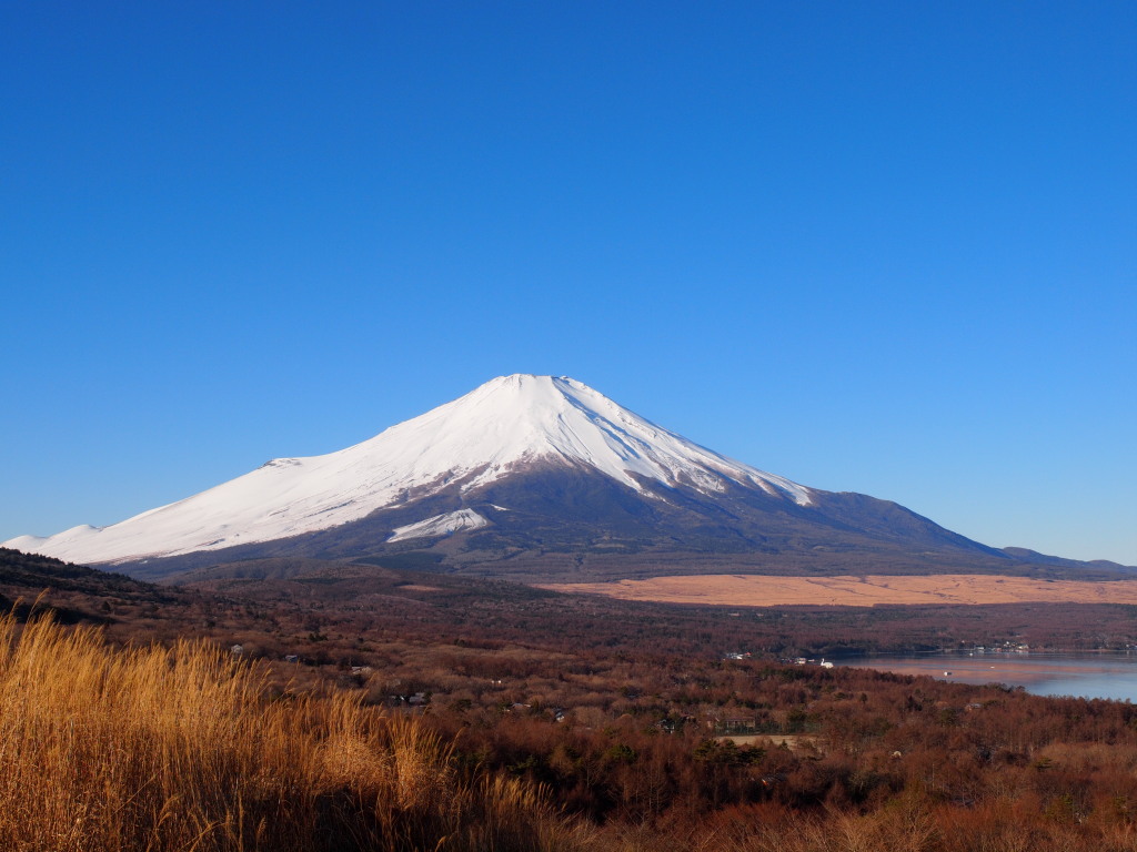 1/11 �Y��ȕx�m�R