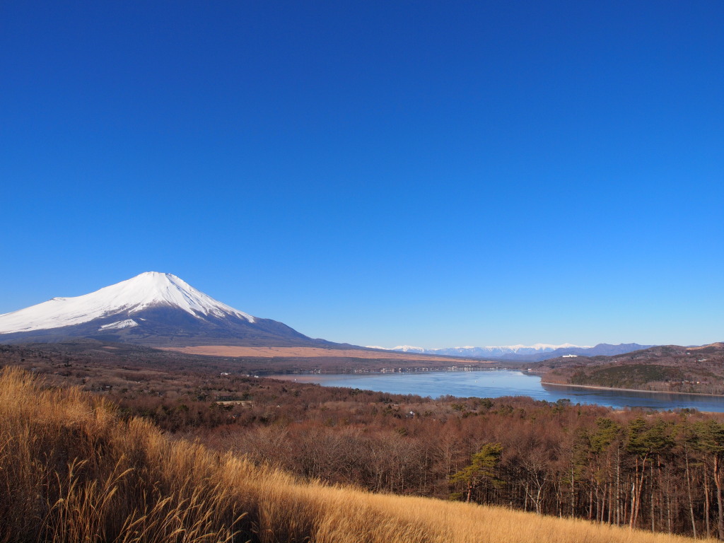 1/11 �R���΂ƕx�m�R