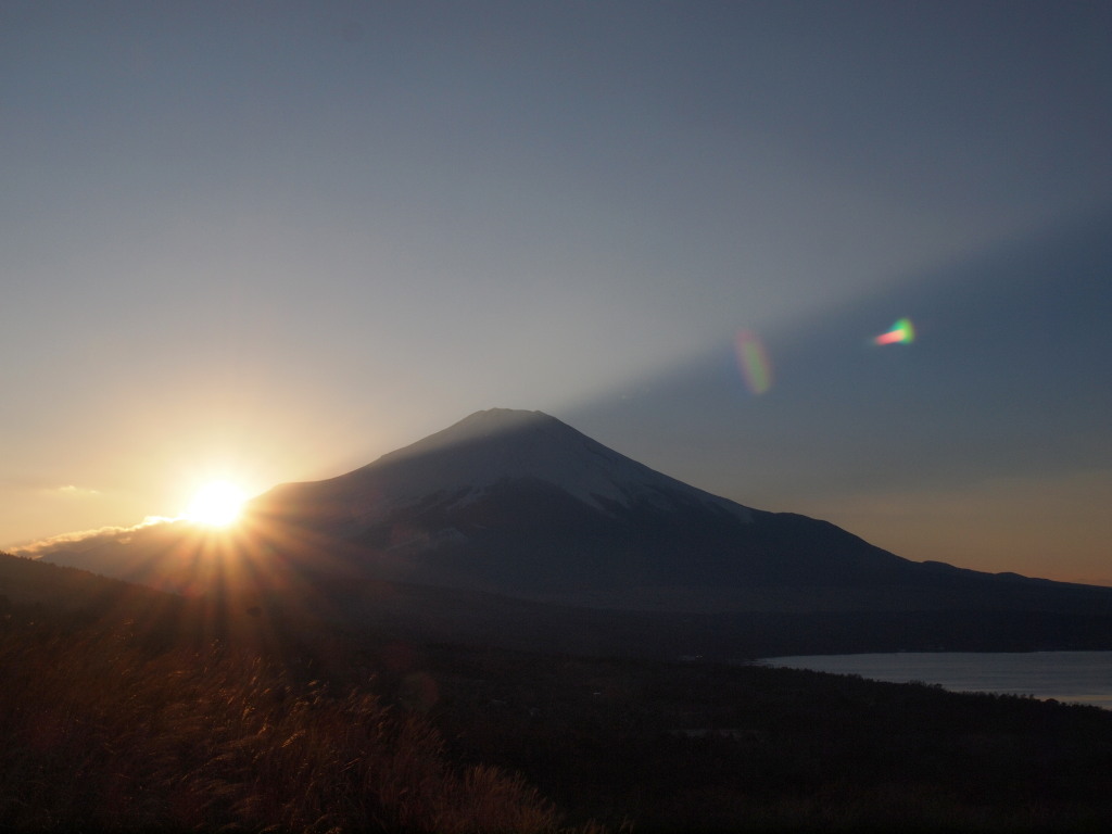 1/11 ���̓���̕x�m�R