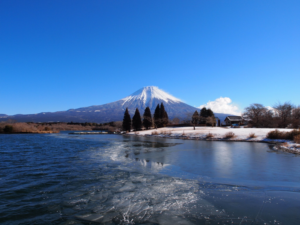 1/18 �c�ь΂̕X�ƕx�m�R