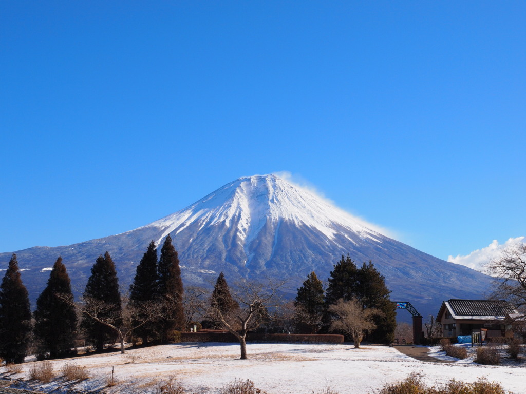 1/18 ��ʐ^�����ȃT�C�g�ƕx�m�R